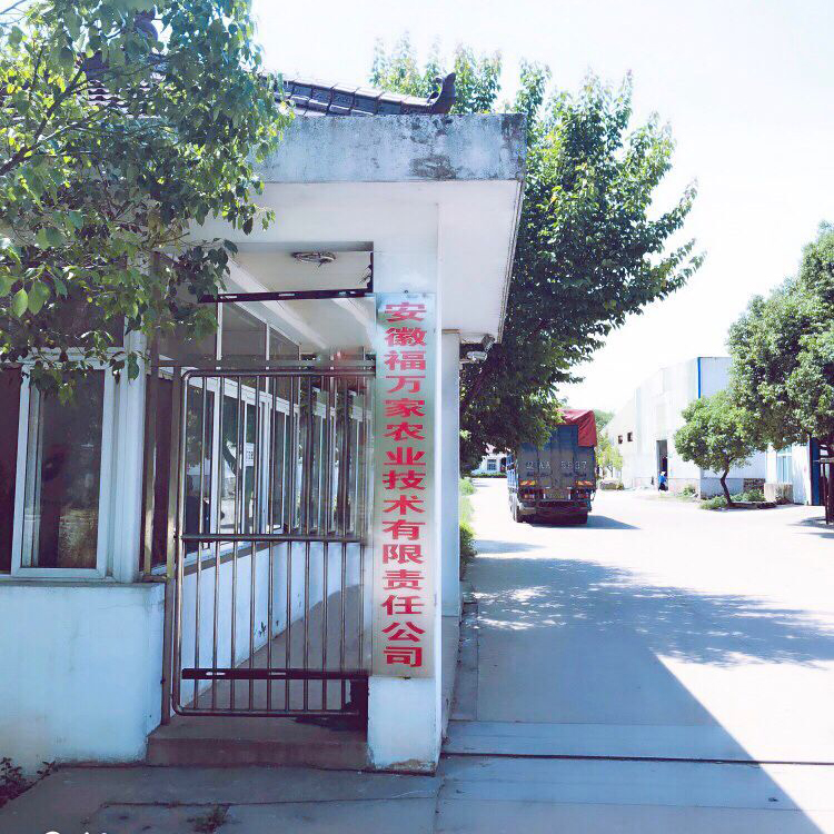 公司环境